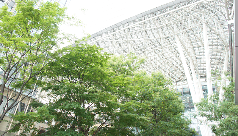 杏彩体育 お願いがあります！徐三韶は猿の顔で心配そうに言った